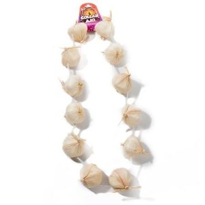 COLLAR DE AJO ANTI-VAMPIROS