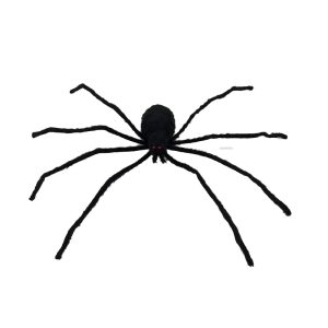 ARAÑA CAMINANTE