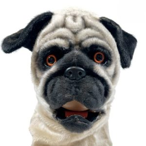 ANIMOV PUG con movimiento