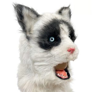 ANIMOV GATO
